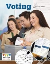 Capa do artigo Voting