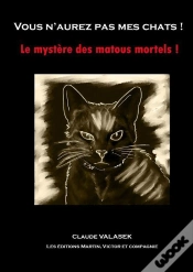 Capa do artigo Vous N