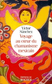 Capa do artigo Voyage Au Coeur Du Chamanisme Mexicain
