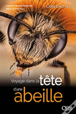 Capa do artigo Voyage Dans La Tete D'Une Abeille