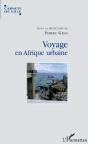 Voyage En Afrique Urbaine - Preview
