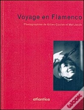 Voyage En Flamenco