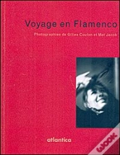 Capa do artigo Voyage En Flamenco