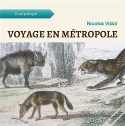 Capa do artigo Voyage En Metropole