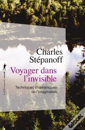 Capa do artigo Voyager Dans L
