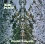 Voyager to Voyager - Vinil - Preview