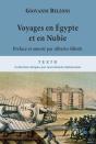 Voyages En Égypte Et En Nubie - Preview