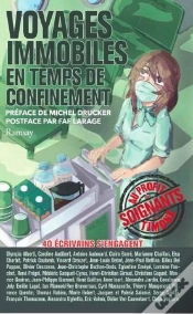 Capa do artigo Voyages Immobiles ; En Temps De Confinement