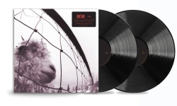 Capa do artigo Vs. - Vinil