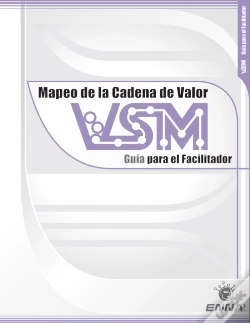 Capa do artigo Vsm Facilitator Guide (Spanish)