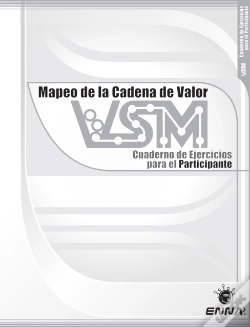 Capa do artigo Vsm Participant Workbook (Spanish)