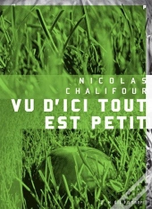 Vu D'Ici Tout Est Petit - Suivi De Vert De Gris