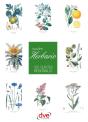 Vuestro Herbario. 160 Plantas Medicinales - Preview