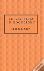 Capa do artigo Vulcan Bides In Moonlight