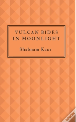 Capa do artigo Vulcan Bides In Moonlight