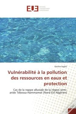 Capa do artigo Vulnerabilite A La Pollution Des Ressources En Eaux Et Protection