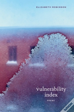 Capa do artigo Vulnerability Index