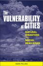 Vulnerability Of Cities - Preview
