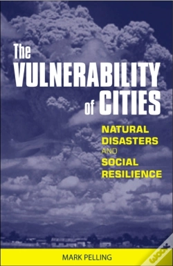 Capa do artigo Vulnerability Of Cities