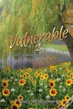 Capa do artigo Vulnerable 2