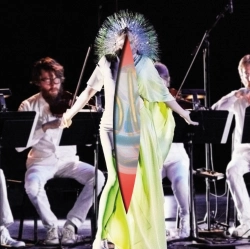 Capa do artigo Vulnicura Strings - Vinil