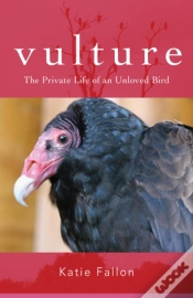 Capa do artigo Vulture