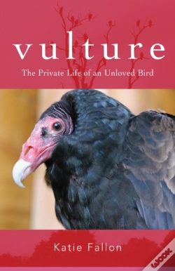 Capa do artigo Vulture
