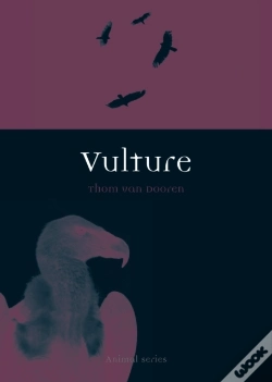 Capa do artigo Vulture