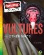 Vultures And Other Birds - Preview