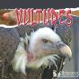 Vultures - Preview