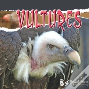 Capa do artigo Vultures