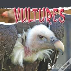 Capa do artigo Vultures