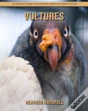 Capa do artigo Vultures