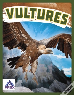 Capa do artigo Vultures