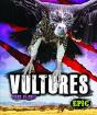 Vultures - Preview