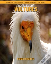 Capa do artigo Vultures