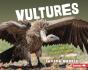 Vultures - Preview