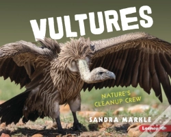 Capa do artigo Vultures