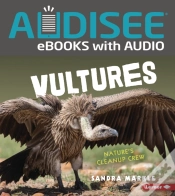 Capa do artigo Vultures