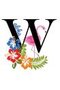 W Aloha - Preview