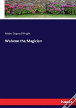 Capa do artigo Wabeno The Magician
