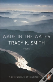 Capa do artigo Wade In The Water