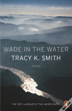 Capa do artigo Wade In The Water