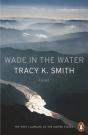 Wade In The Water - Preview