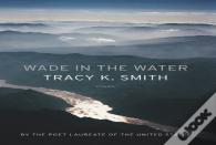 Wade In The Water