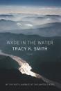 Wade In The Water - Preview