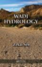 Wadi Hydrology - Preview