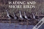 Capa do artigo Wading And Shore Birds