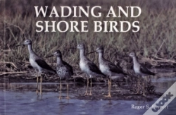 Capa do artigo Wading And Shore Birds