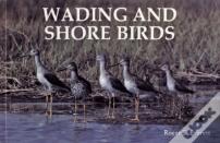 Wading And Shore Birds